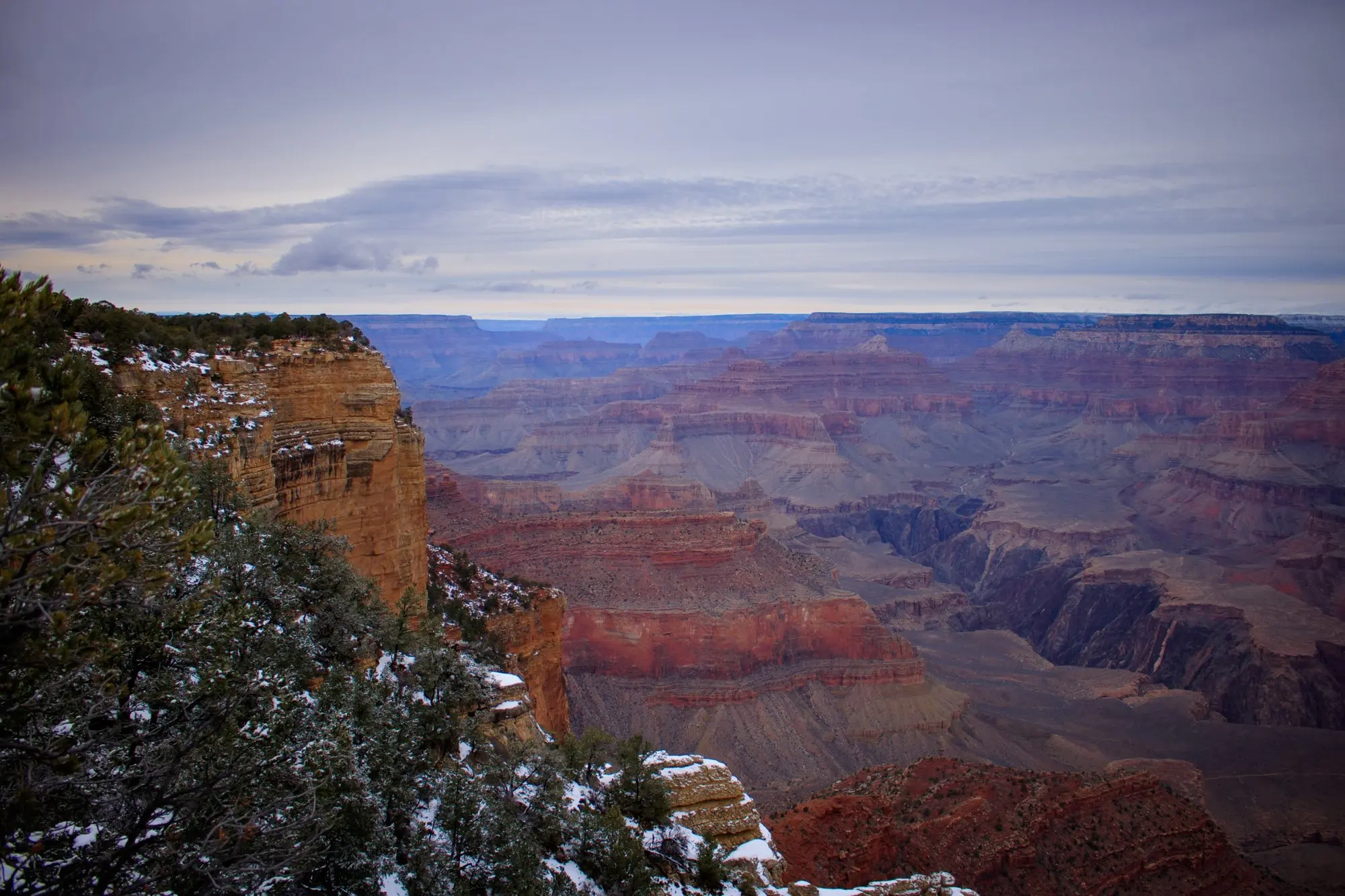 Grand Canyon mit roten Felsschichten unter bewölktem Himmel, vorne Schnee auf Sträuchern