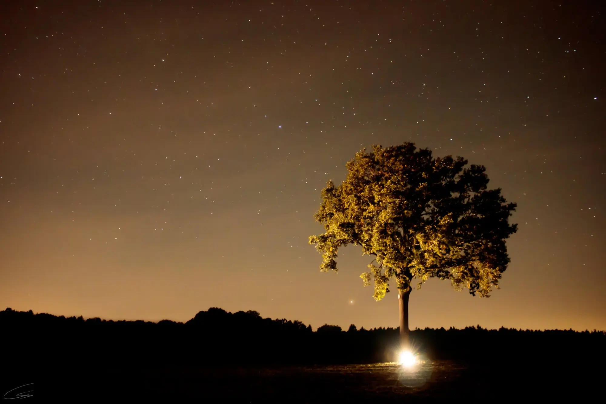 Einzelner beleuchteter Baum unter einem Sternenhimmel, am Boden ein heller Lichtpunkt