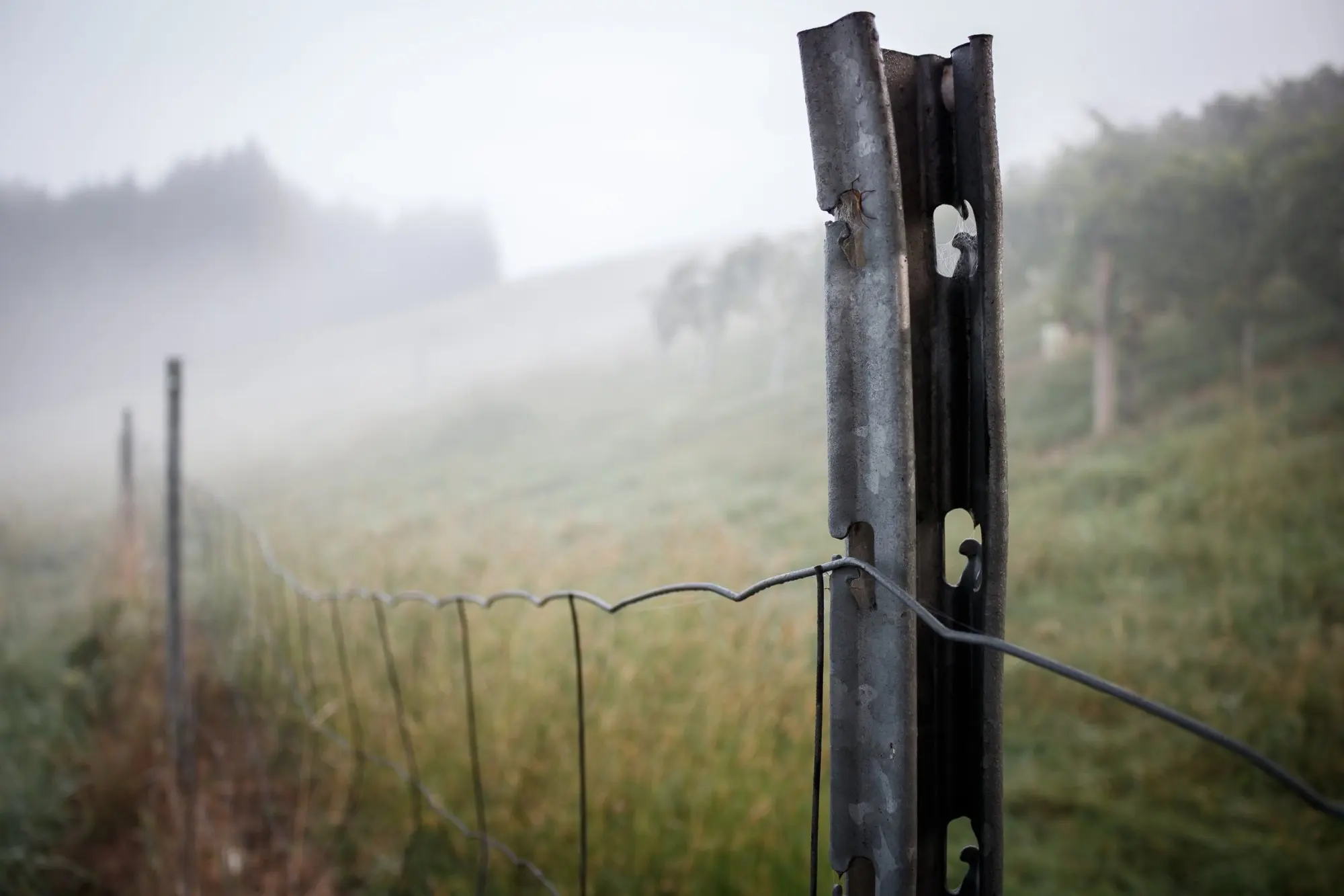 Metallener Zaunpfahl mit Draht auf einer Wiese im Nebel